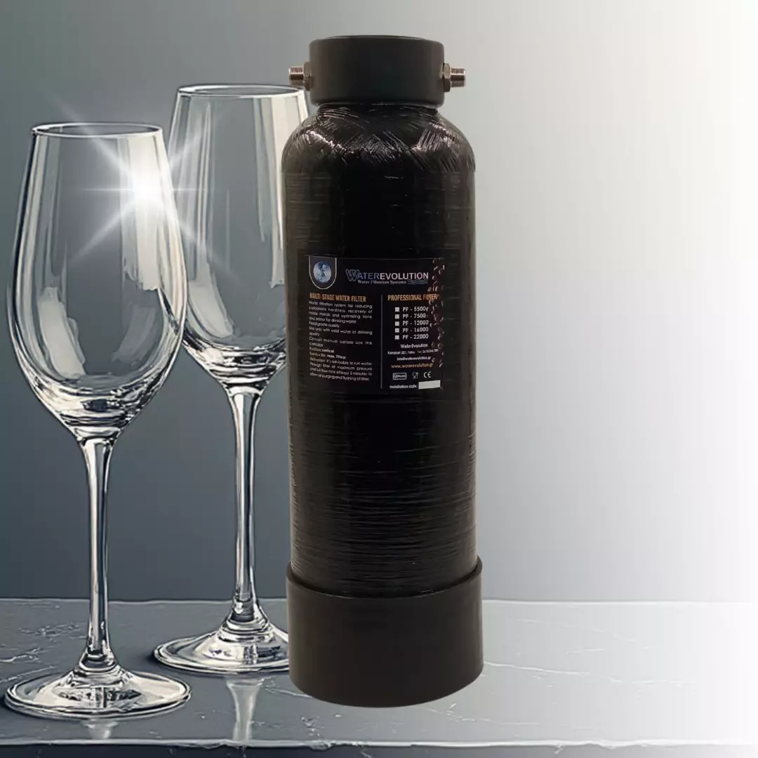 professional softening filter we pf 12000 Επαγγελματικό Φίλτρο Αποσκλήρυνσης