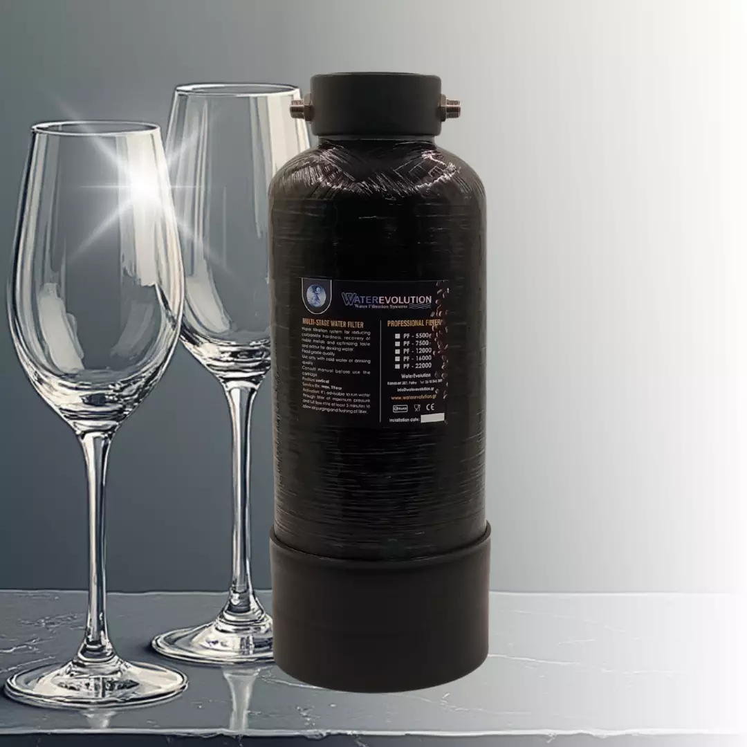 professional softening filter we pf 5500 Επαγγελματικό Φίλτρο Αποσκλήρυνσης