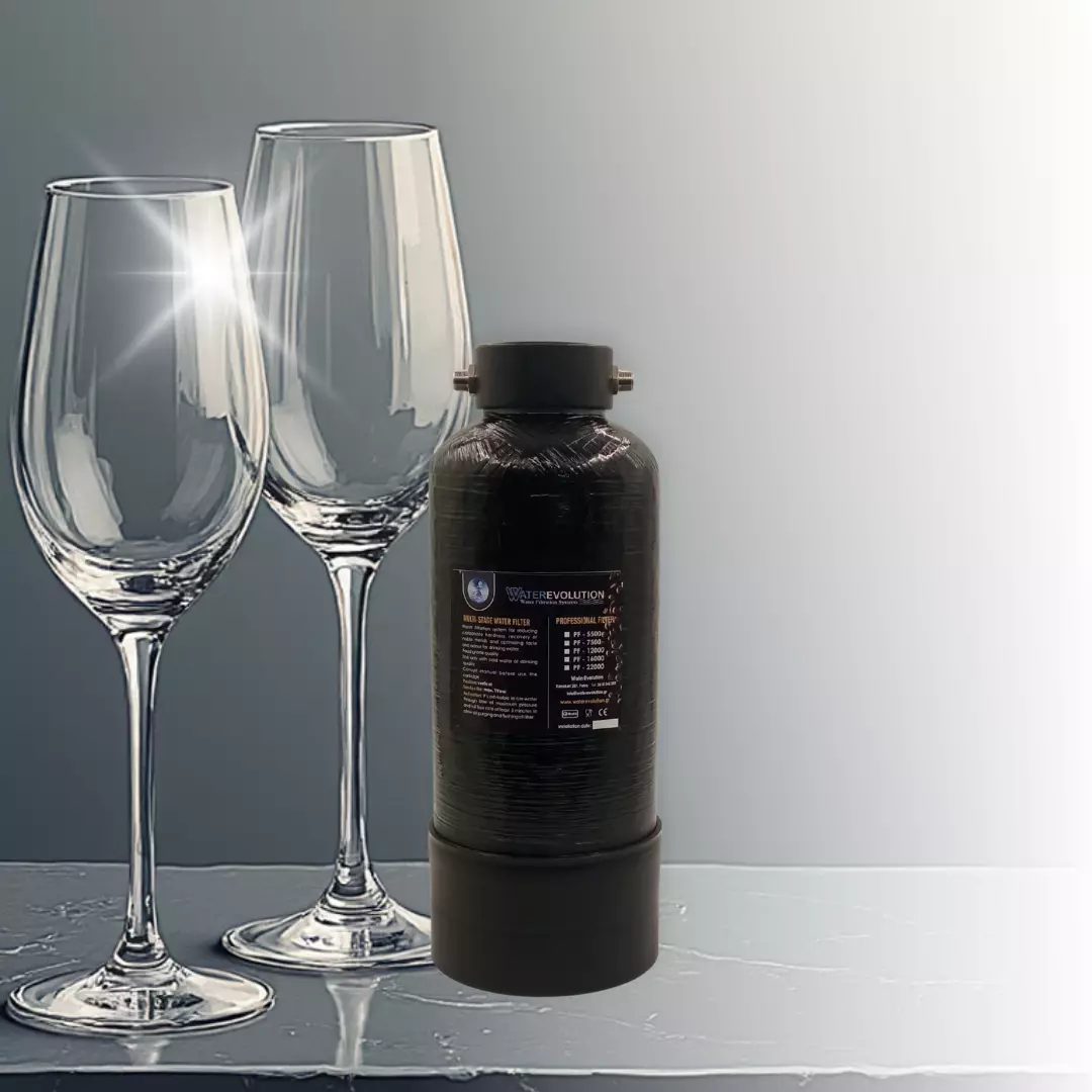 professional softening filter we pf 5500 Επαγγελματικό Φίλτρο Αποσκλήρυνσης